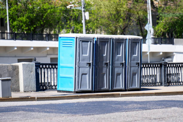 Best Affordable portable toilet rental  in Pinckney, MI
